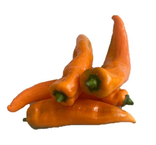 Bio Sortiment KW40 Paprika orange spitz